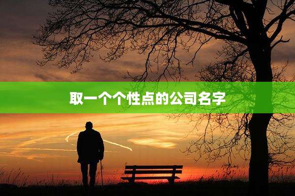 取一个个性点的公司名字