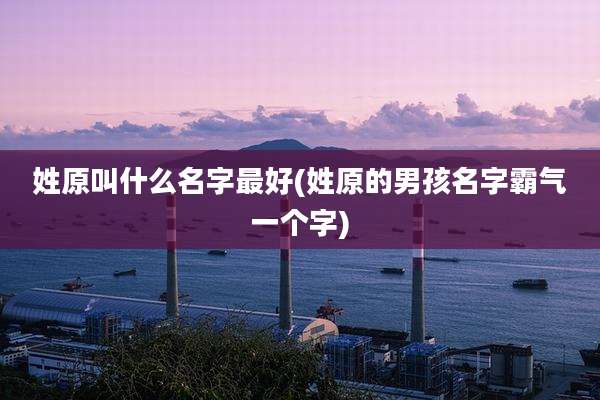 姓原叫什么名字最好(姓原的男孩名字霸气一个字)
