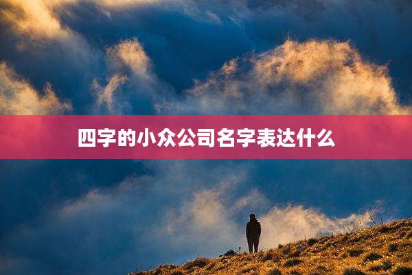 四字的小众公司名字表达什么