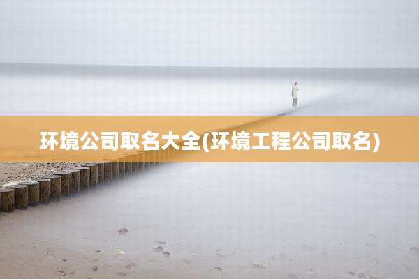 环境公司取名大全(环境工程公司取名)