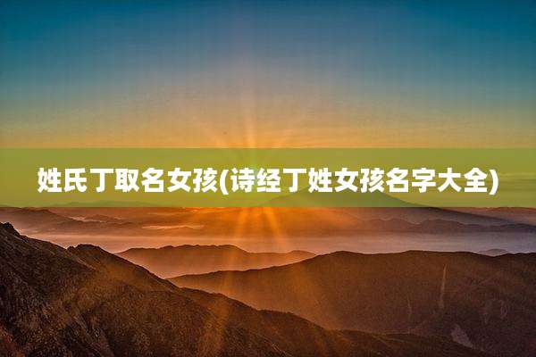 姓氏丁取名女孩(诗经丁姓女孩名字大全)