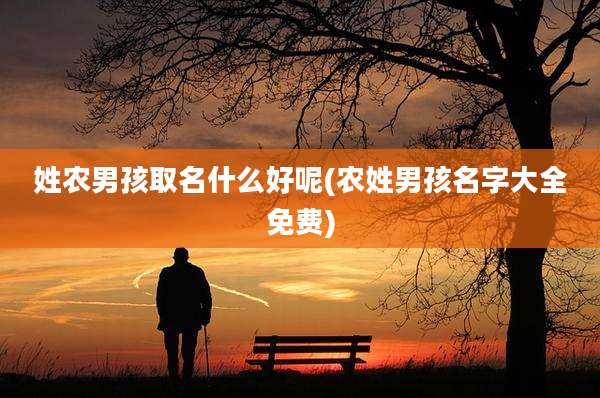 姓农男孩取名什么好呢(农姓男孩名字大全免费)
