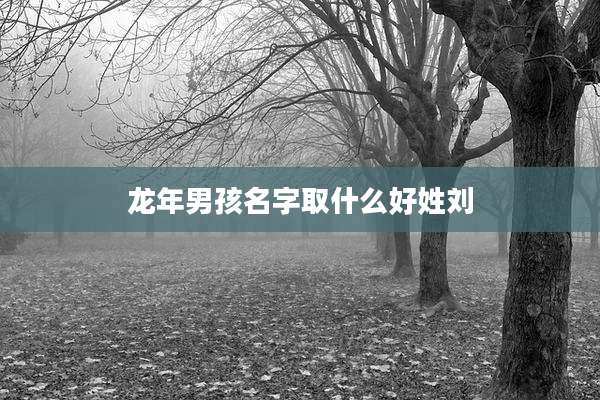 龙年男孩名字取什么好姓刘