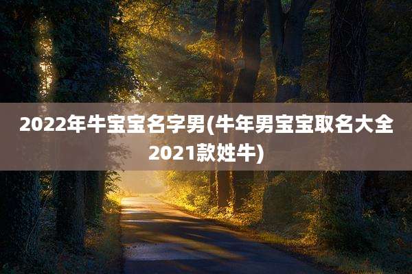 2022年牛宝宝名字男(牛年男宝宝取名大全2021款姓牛)
