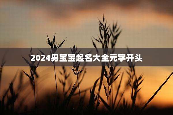 2024男宝宝起名大全元字开头
