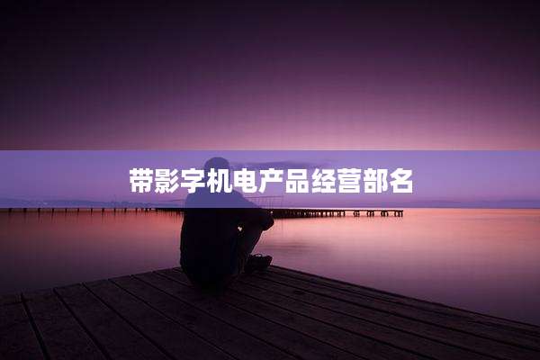 带影字机电产品经营部名