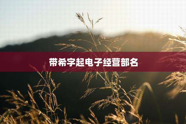 带希字起电子经营部名