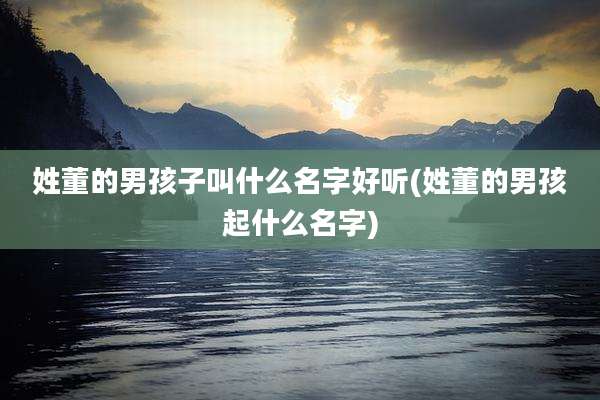 姓董的男孩子叫什么名字好听(姓董的男孩起什么名字)