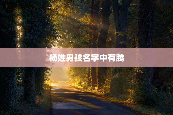 杨姓男孩名字中有腾