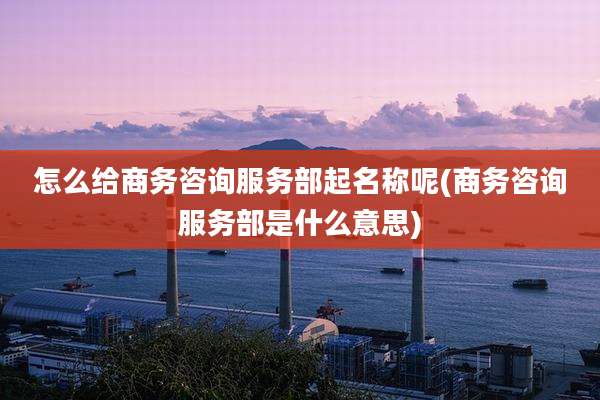 怎么给商务咨询服务部起名称呢(商务咨询服务部是什么意思)