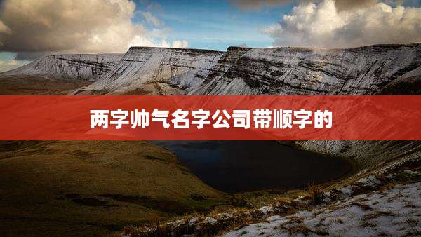 两字帅气名字公司带顺字的