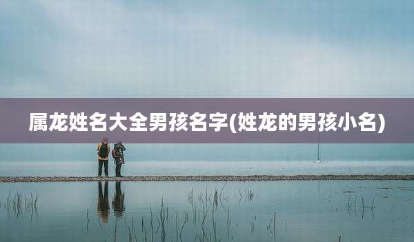 属龙姓名大全男孩名字(姓龙的男孩小名)