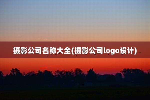 摄影公司名称大全(摄影公司logo设计)