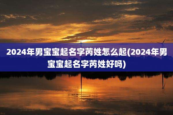 2024年男宝宝起名字芮姓怎么起(2024年男宝宝起名字芮姓好吗)
