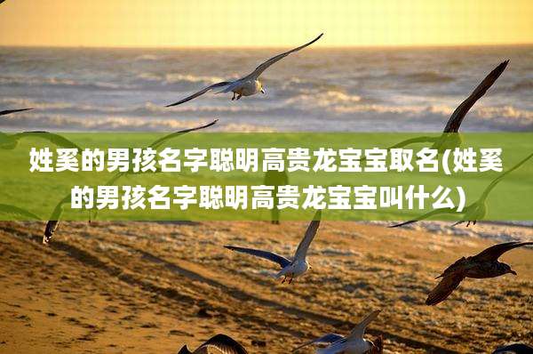 姓奚的男孩名字聪明高贵龙宝宝取名(姓奚的男孩名字聪明高贵龙宝宝叫什么)