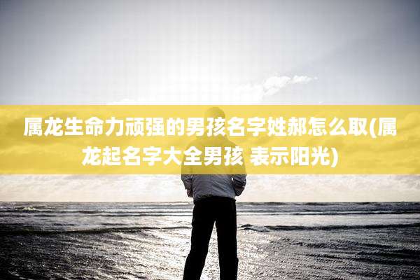 属龙生命力顽强的男孩名字姓郝怎么取(属龙起名字大全男孩 表示阳光)