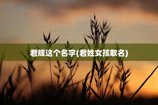 君辉这个名字(君姓女孩取名)
