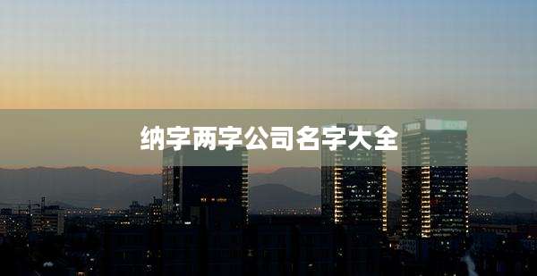 纳字两字公司名字大全