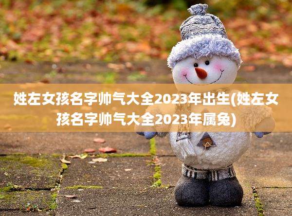 姓左女孩名字帅气大全2023年出生(姓左女孩名字帅气大全2023年属兔)
