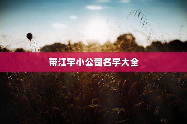 带江字小公司名字大全