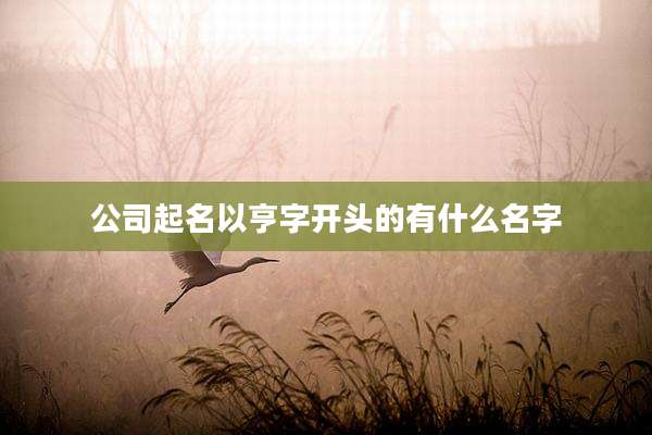 公司起名以亨字开头的有什么名字