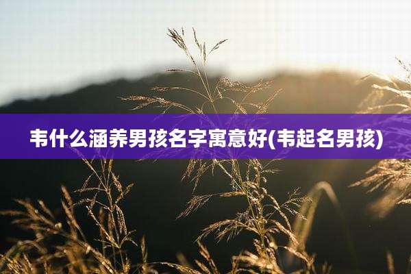 韦什么涵养男孩名字寓意好(韦起名男孩)