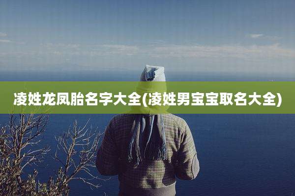 凌姓龙凤胎名字大全(凌姓男宝宝取名大全)