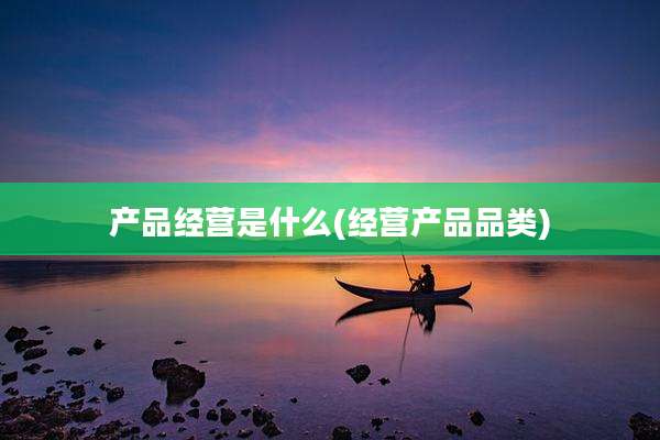 产品经营是什么(经营产品品类)