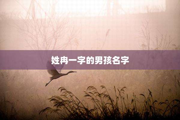 姓冉一字的男孩名字