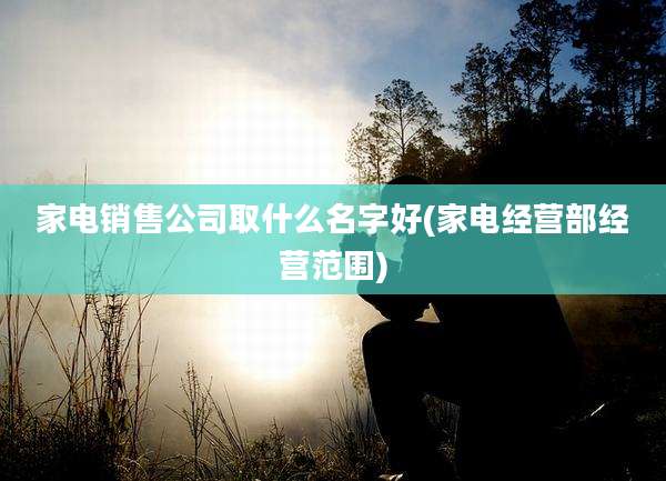 家电销售公司取什么名字好(家电经营部经营范围)