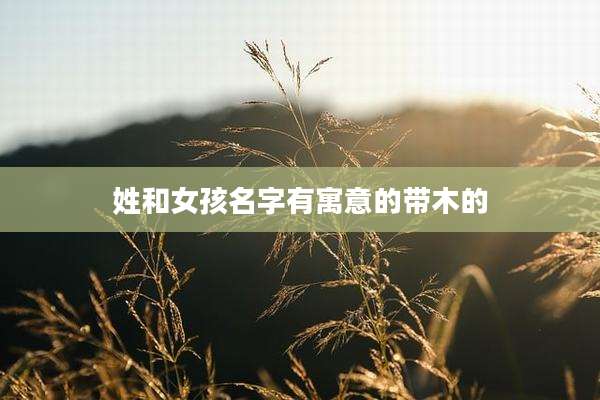 姓和女孩名字有寓意的带木的