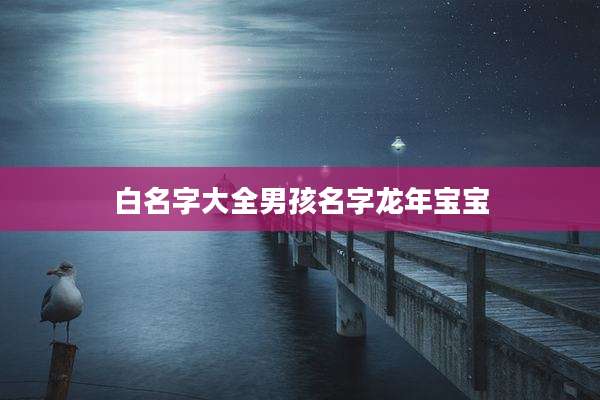 白名字大全男孩名字龙年宝宝