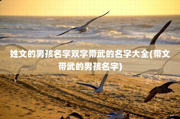 姓文的男孩名字双字带武的名字大全(带文带武的男孩名字)