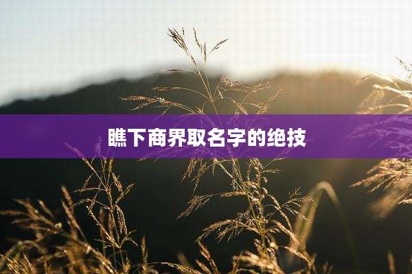 瞧下商界取名字的绝技