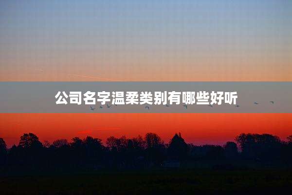 公司名字温柔类别有哪些好听