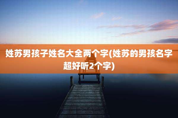 姓苏男孩子姓名大全两个字(姓苏的男孩名字超好听2个字)