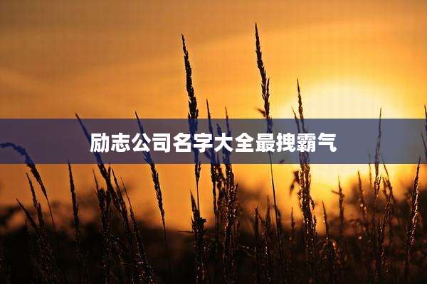 励志公司名字大全最拽霸气