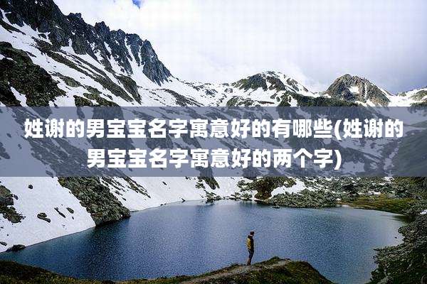 姓谢的男宝宝名字寓意好的有哪些(姓谢的男宝宝名字寓意好的两个字)