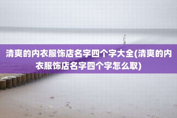 清爽的内衣服饰店名字四个字大全(清爽的内衣服饰店名字四个字怎么取)