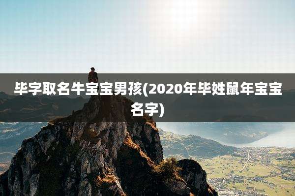 毕字取名牛宝宝男孩(2020年毕姓鼠年宝宝名字)