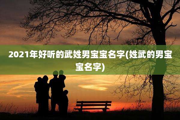 2021年好听的武姓男宝宝名字(姓武的男宝宝名字)