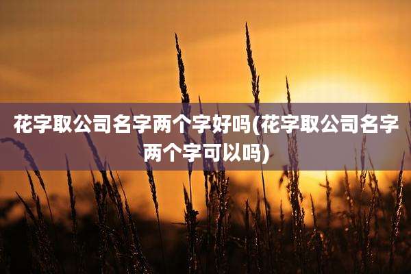 花字取公司名字两个字好吗(花字取公司名字两个字可以吗)