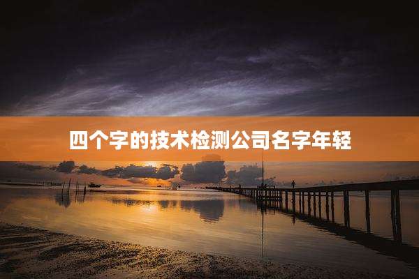 四个字的技术检测公司名字年轻
