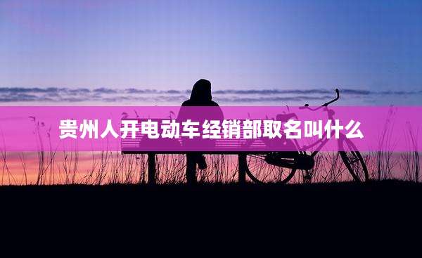贵州人开电动车经销部取名叫什么