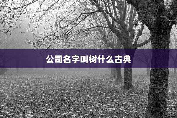 公司名字叫树什么古典