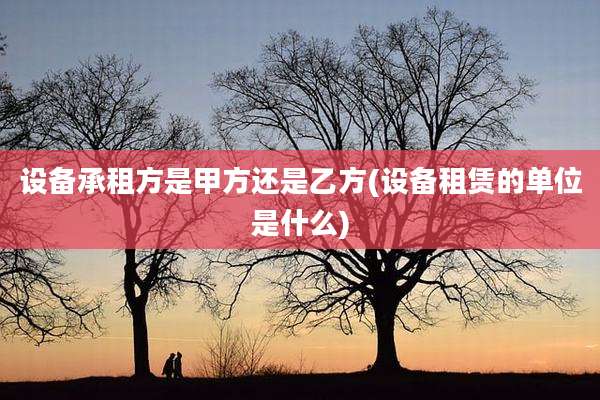 设备承租方是甲方还是乙方(设备租赁的单位是什么)