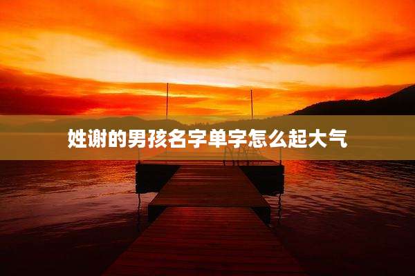 姓谢的男孩名字单字怎么起大气