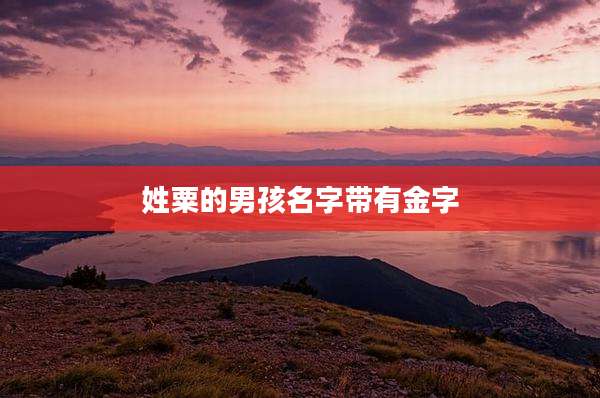姓粟的男孩名字带有金字