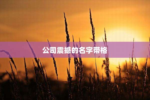 公司震撼的名字带格