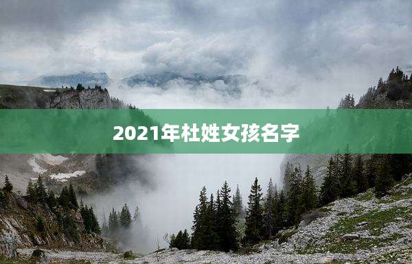 2021年杜姓女孩名字